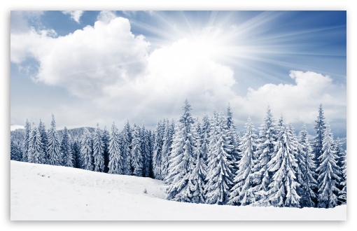 Winter HD Desktop Wallpaper High Definition Fullscreen Mobile