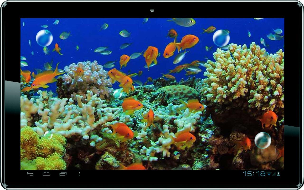 Live Wallpaper For Android Killer Fish 3d