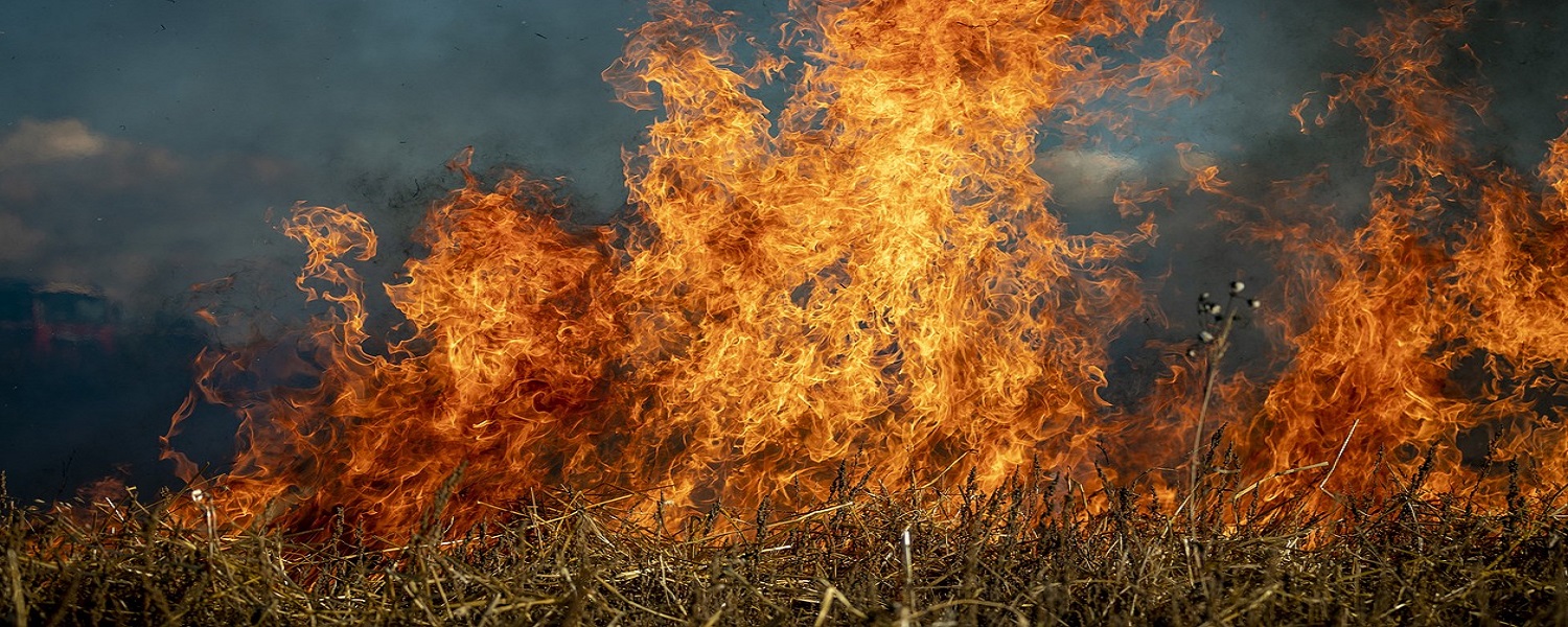 What To Do If There S A Fire Wallpaper
