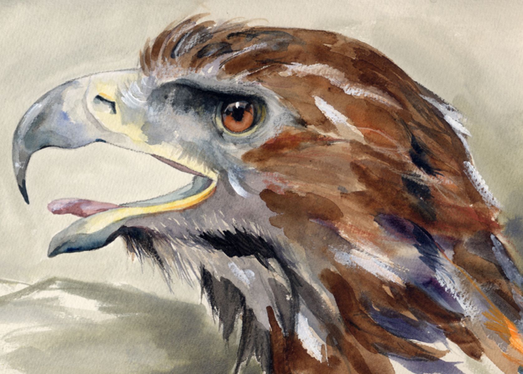 Eagle Head Painting Paint Wallpaper Co