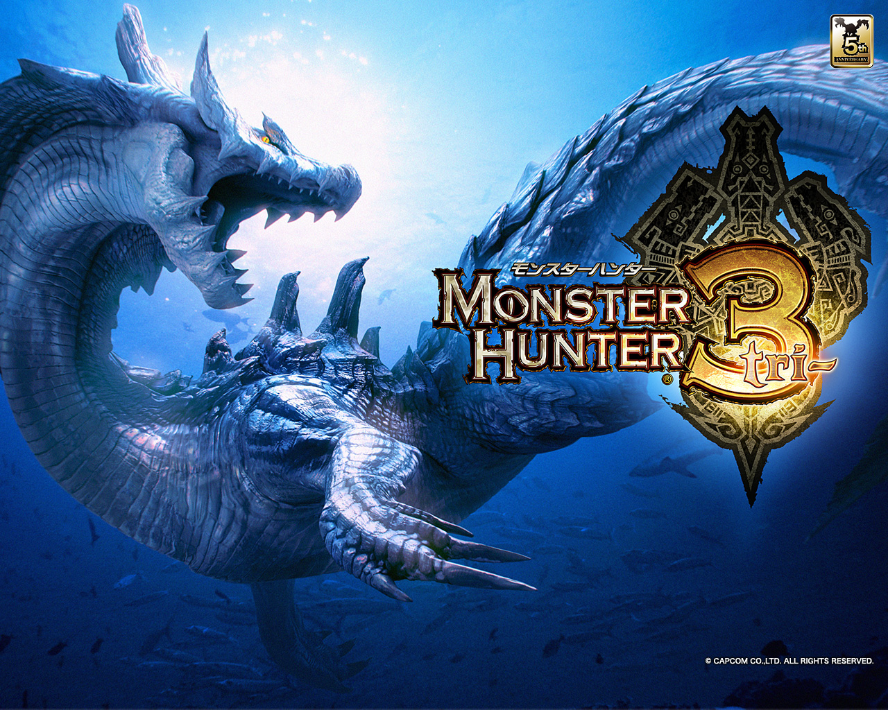 Monster Hunter Tri Wii Wallpaper Fonds D Cran Image