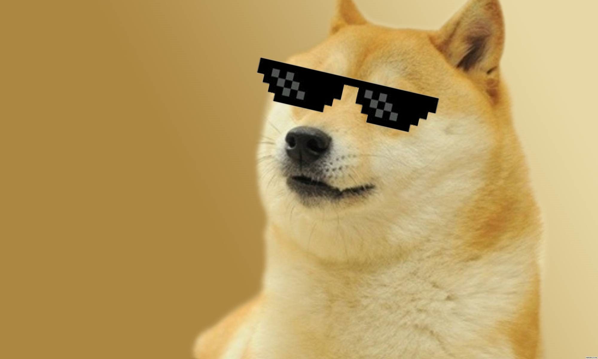 Doge Meme Wallpaper Dog