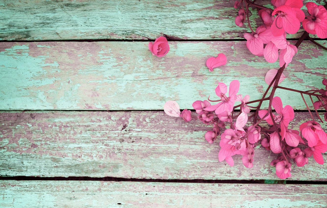 Wallpaper Flowers Spring Pink Vintage Wood