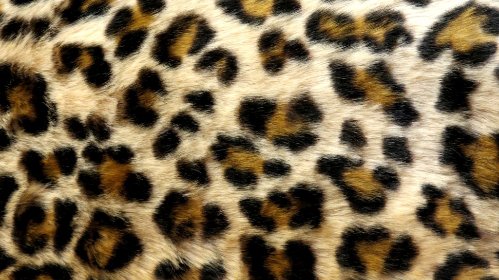 Leopard Texture Vampstock By