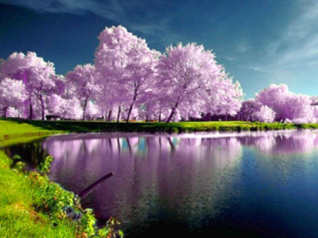 Spring Nature Wallpapers High Resolution   wallpaper 1024x768