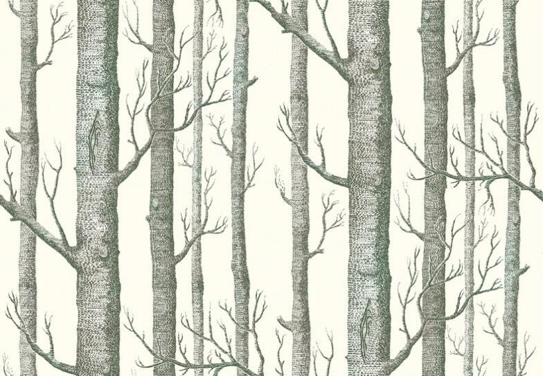 Woods Wallpaper By Cole And Son