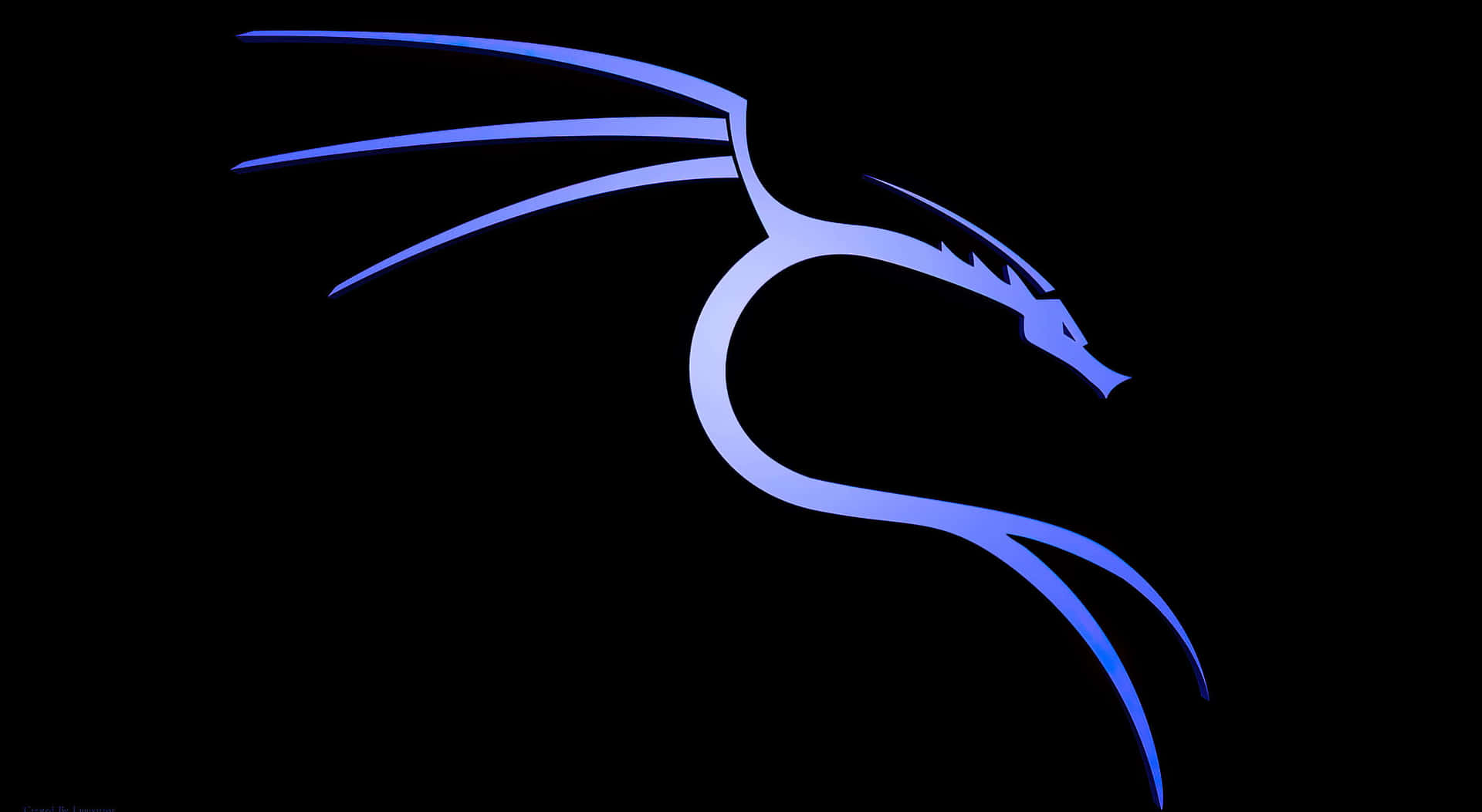 Unlock The Power Of Kali Linux Wallpaper