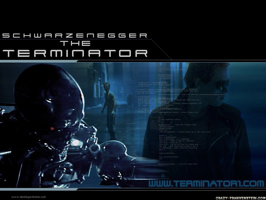 Wallpaper Schwarzenegger The Terminator
