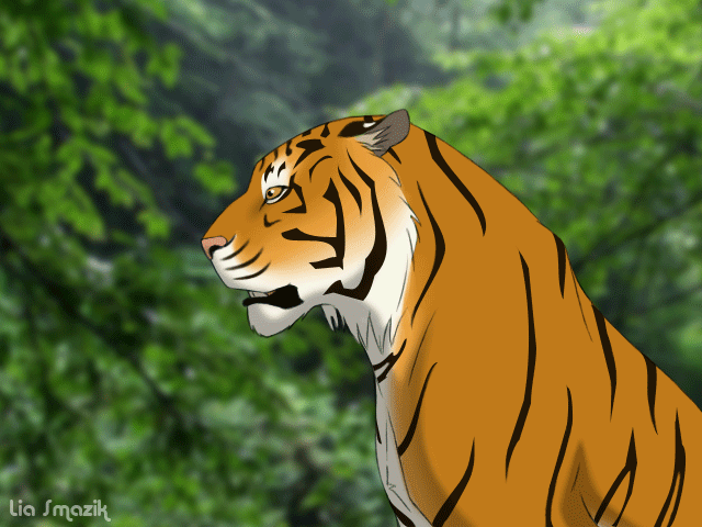 Roaring Tiger Animation By Thetigress