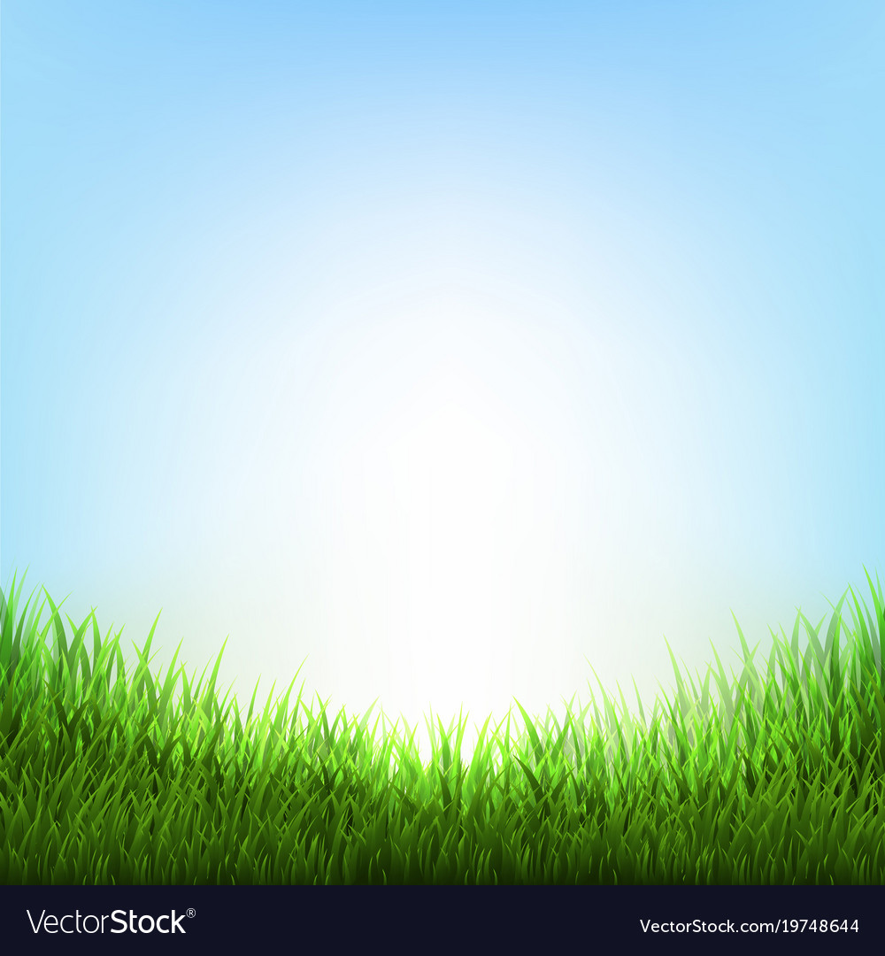 Nature Background With Grass Royalty Vector Image