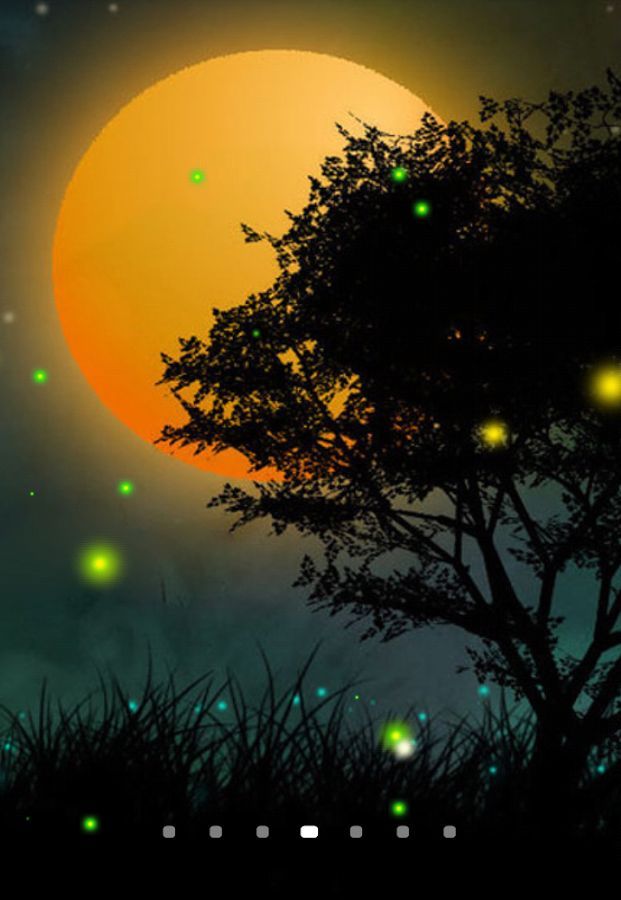 Fireflies 3d Live Wallpaper For Android Mobile Phone