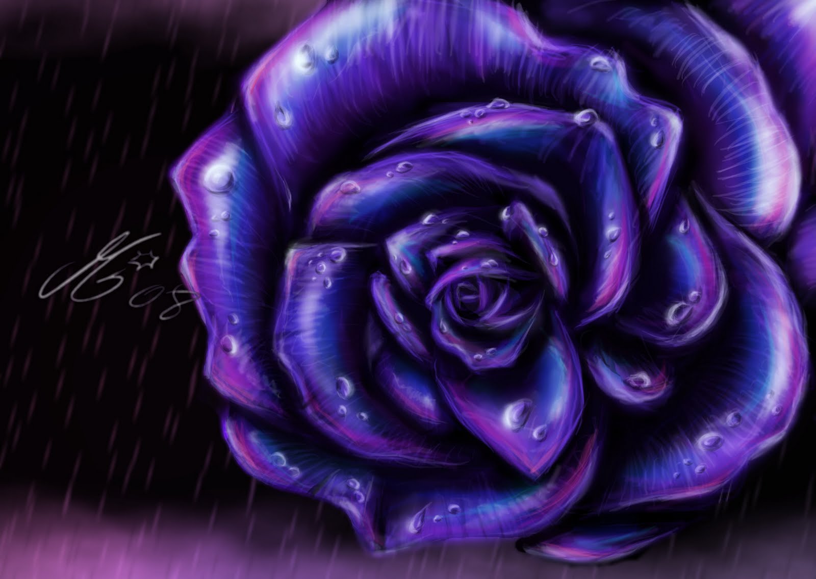 Purple Rose Wallpaper Image Fun