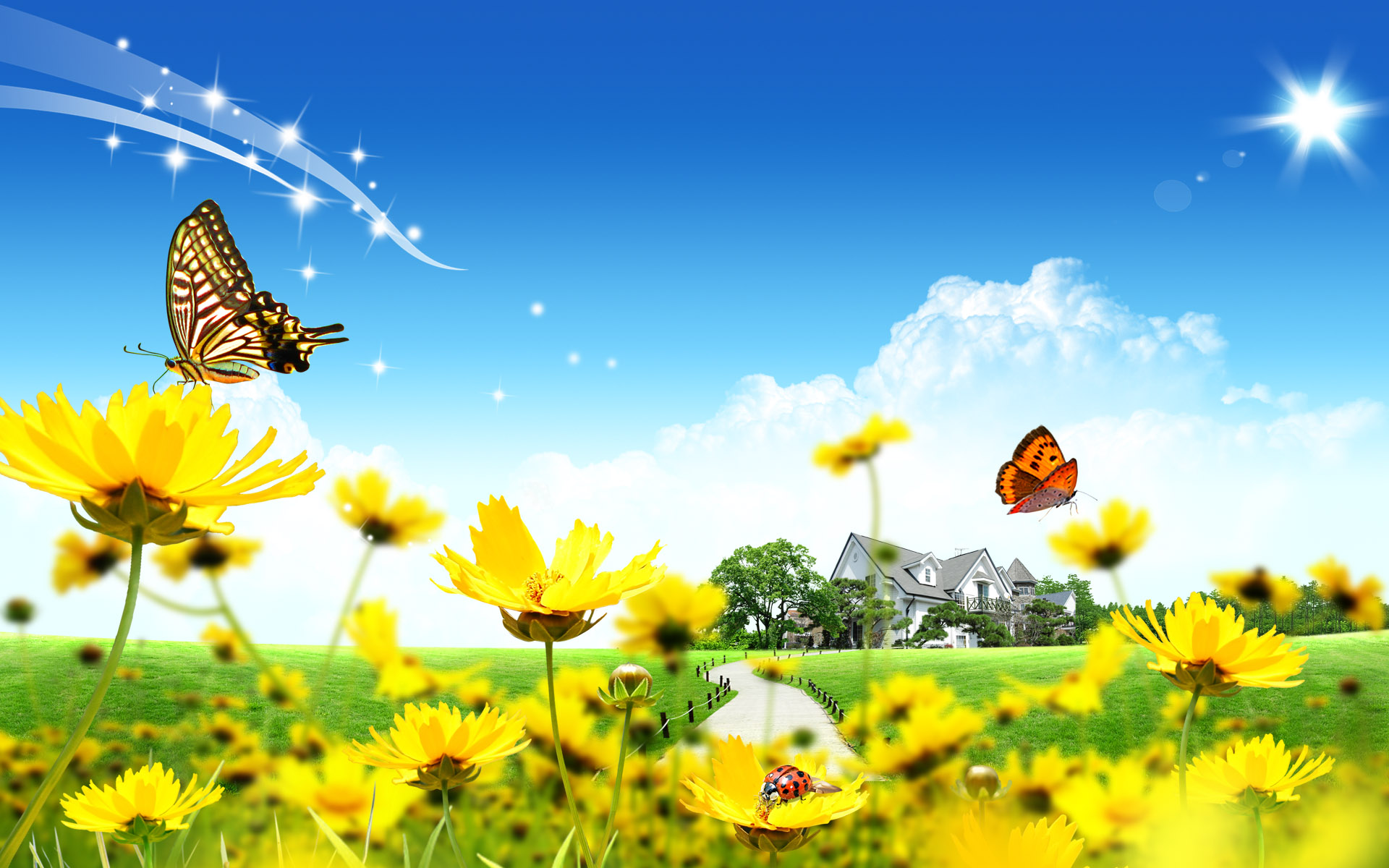 Beautiful Spring Yellow Flowers Puter Desktop Wallpaper