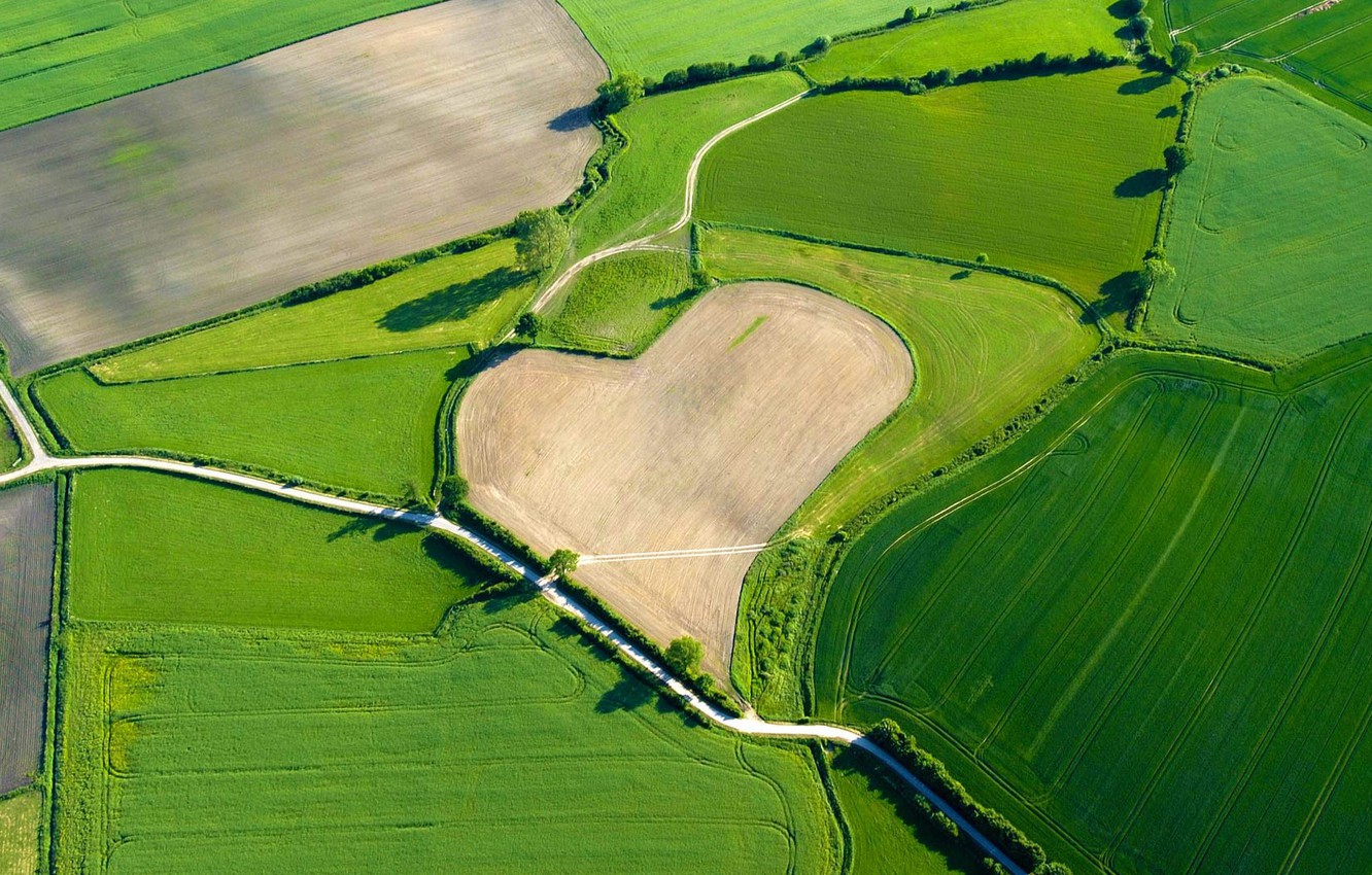 Wallpaper Heart Field Germany Valentine S Day Schleswig