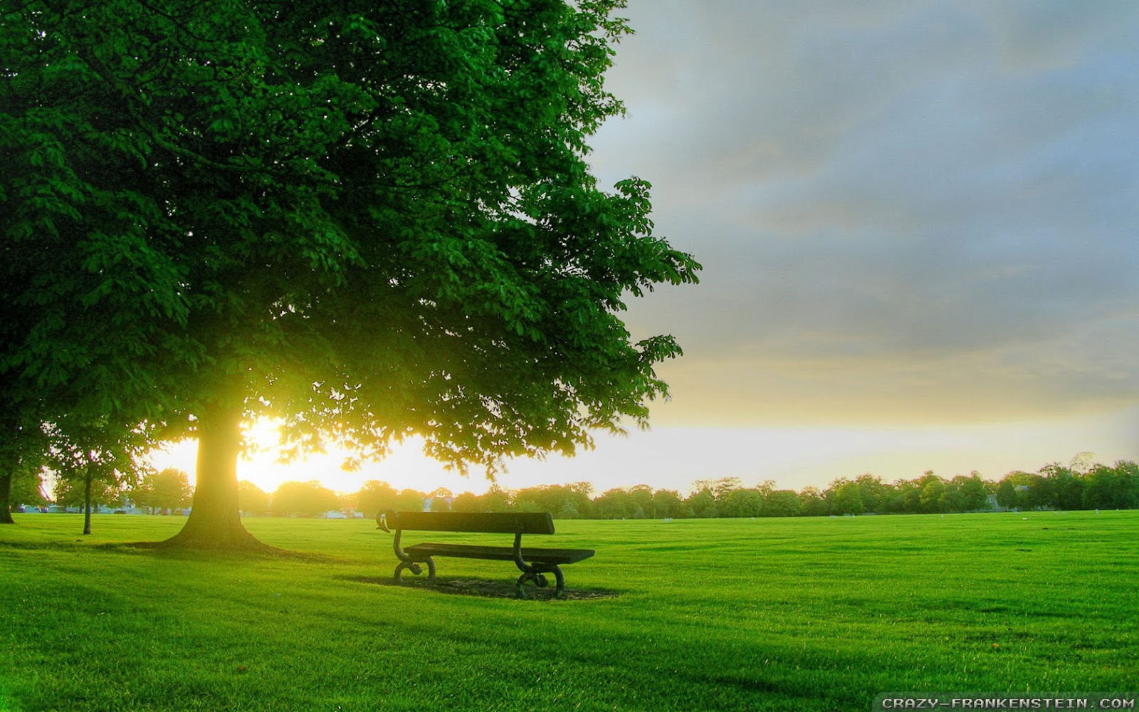 Beautiful HD Wallpaper Amazing Spring Sunrise Desktop
