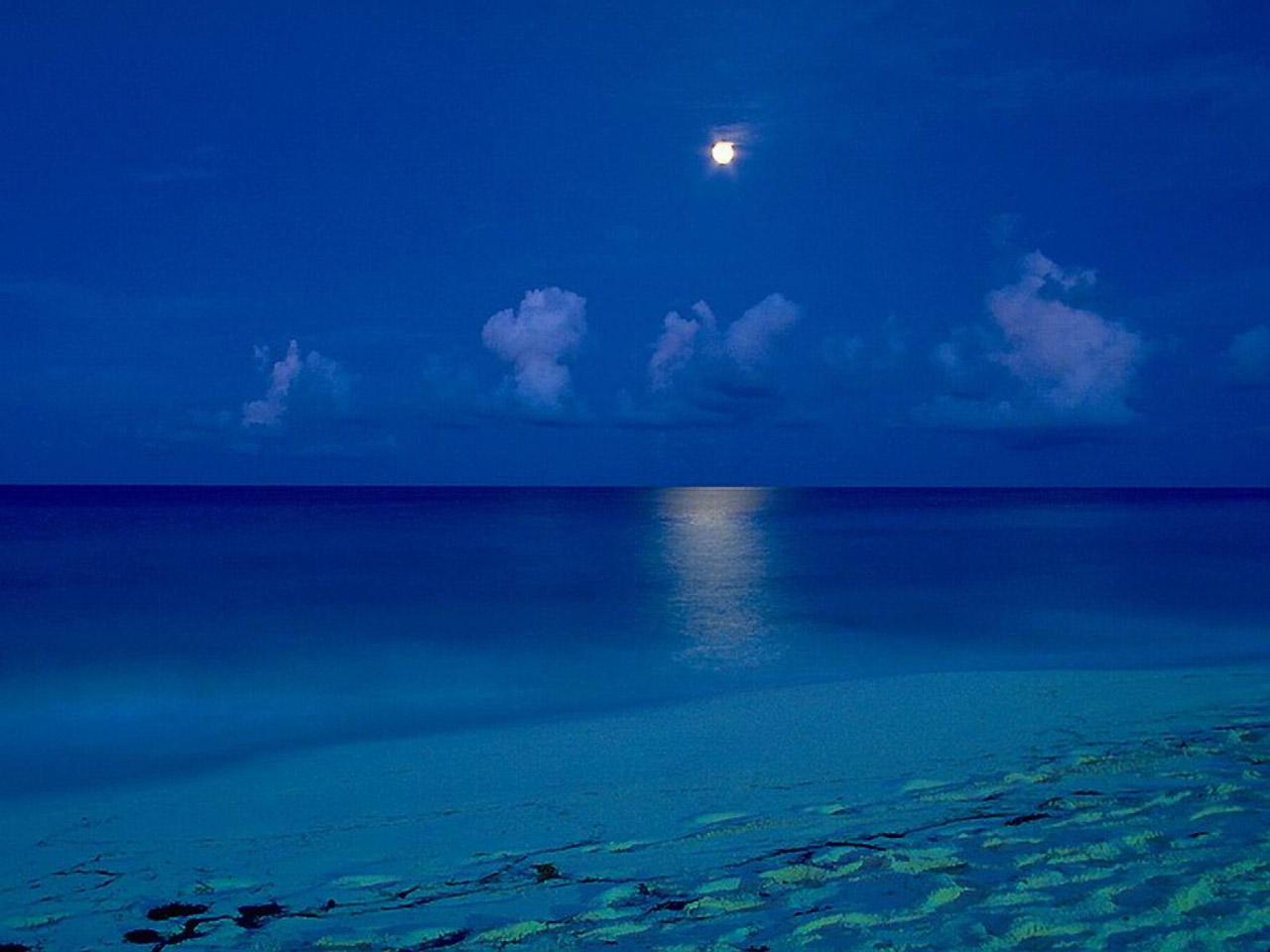 Beach By The Moon Light Puter Desktop Wallpaper Pictures