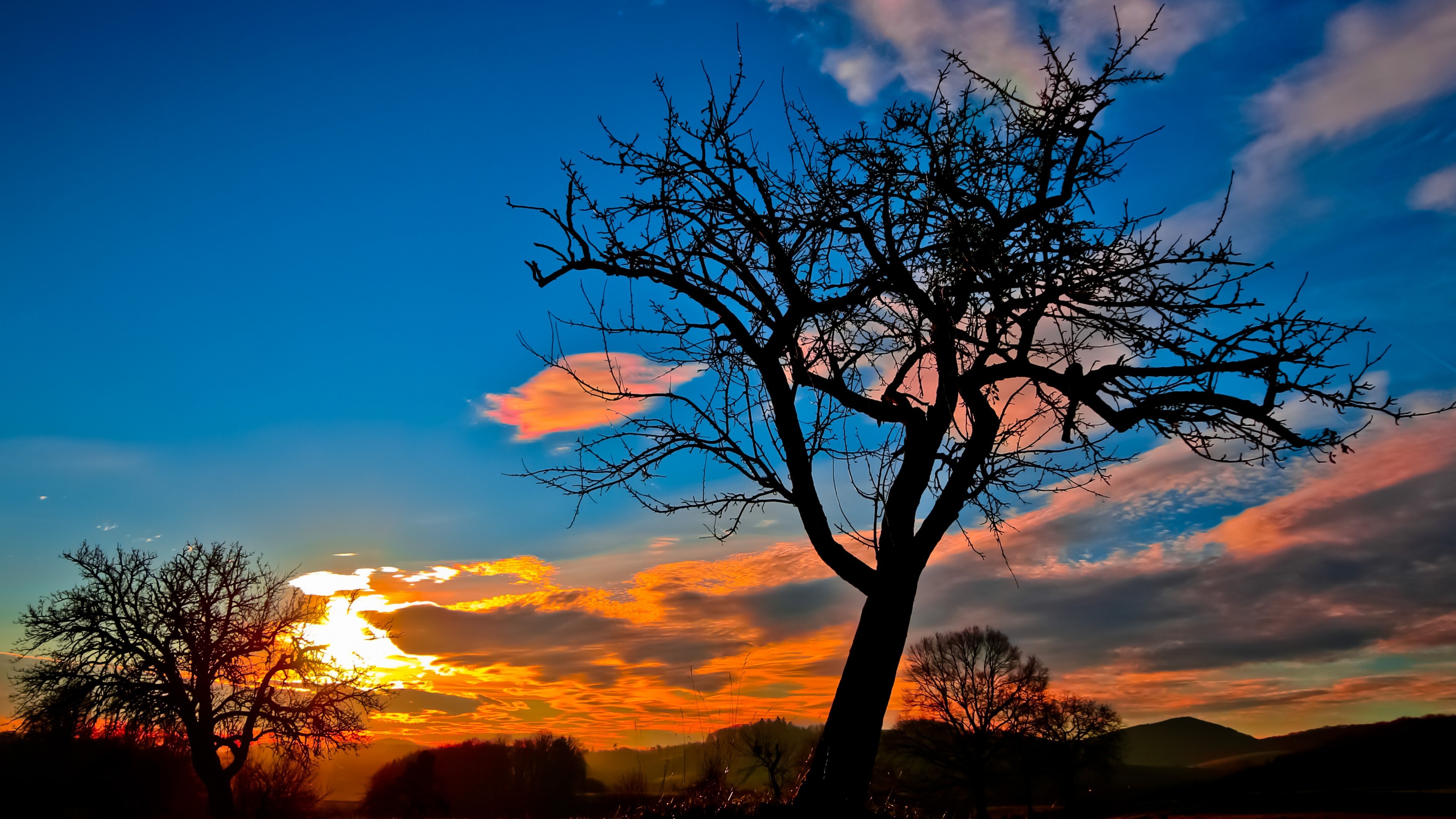 Sunset Trees Sky HD Nature 4k Wallpaper Image Photos