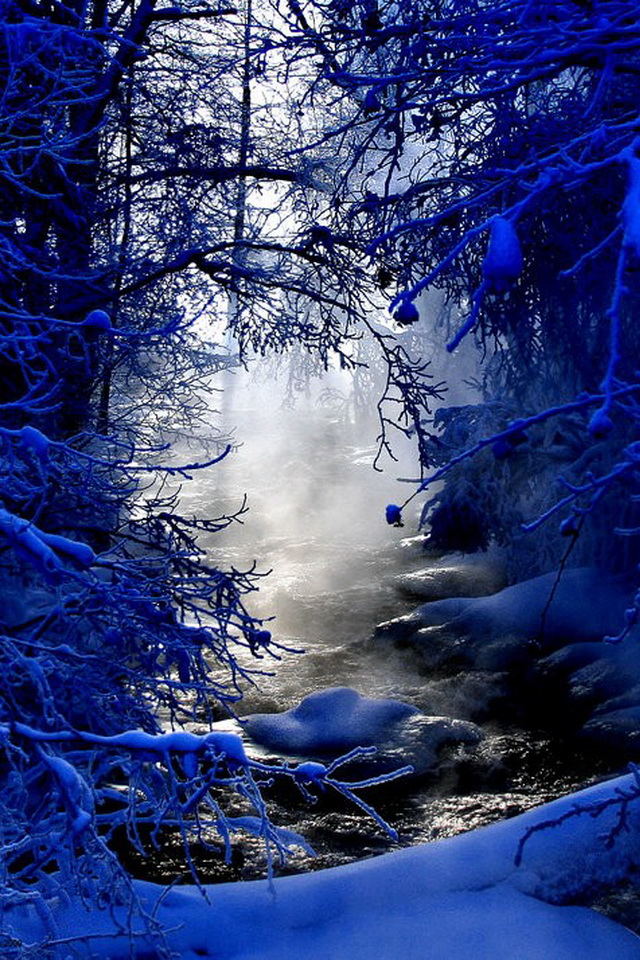 Winter Scenes Background For iPhone4 Apple iPhone Wallpaper