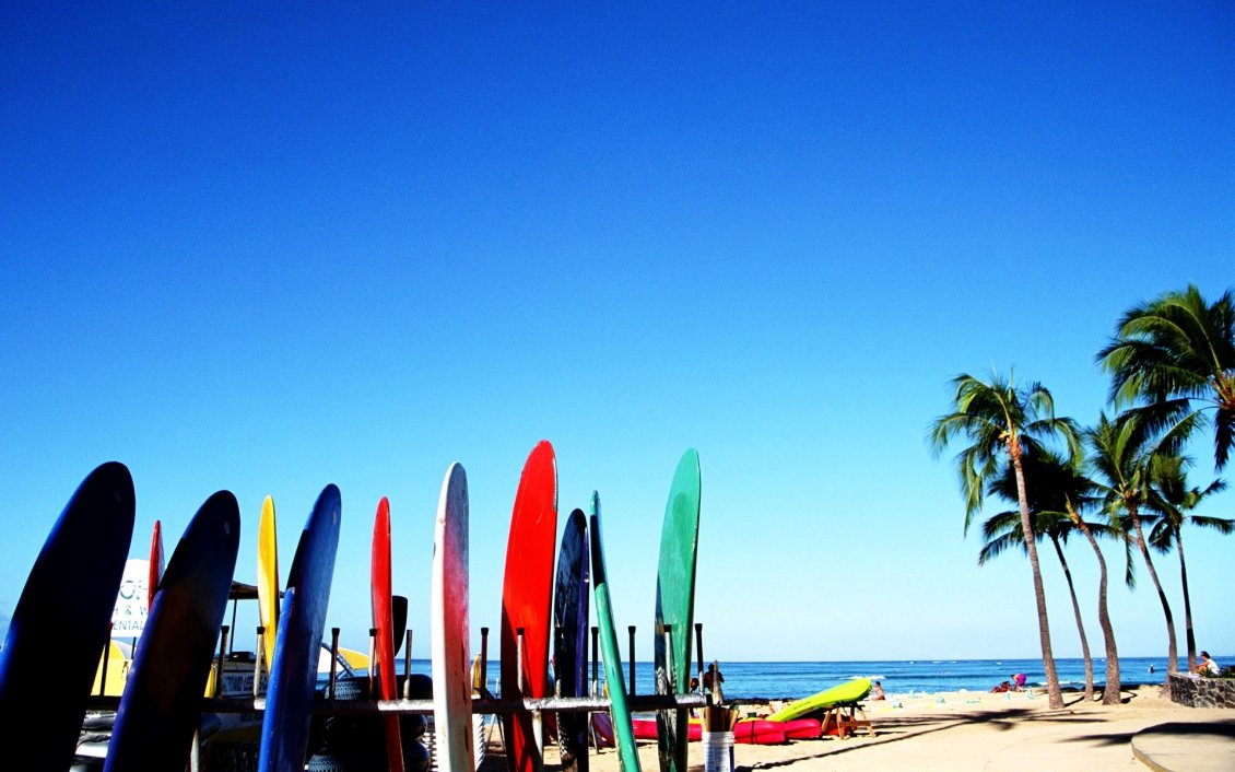 Colored Surfboards At The Beach Summer Sport On