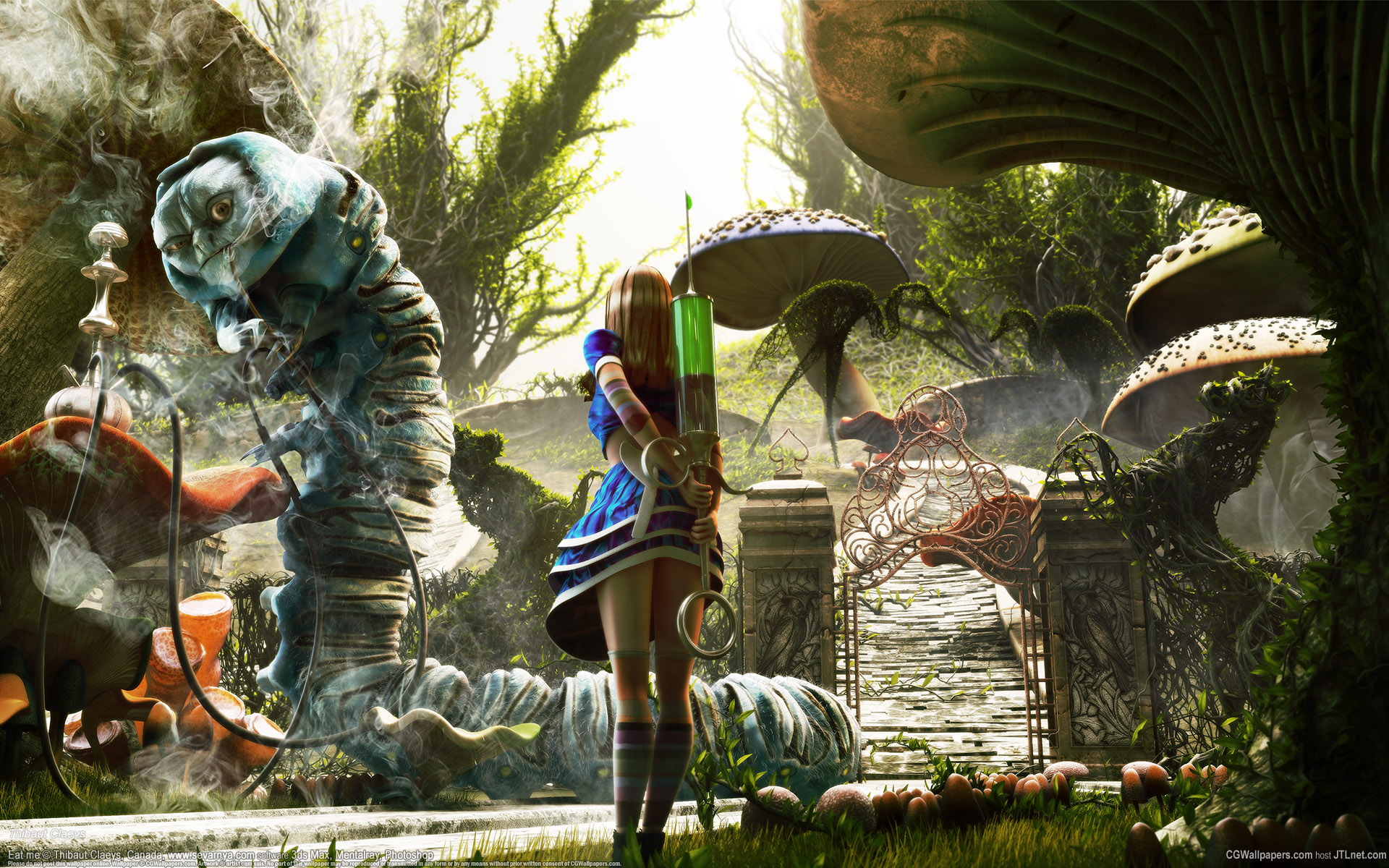 Alice In Wonderland HD Wallpaper Background Image