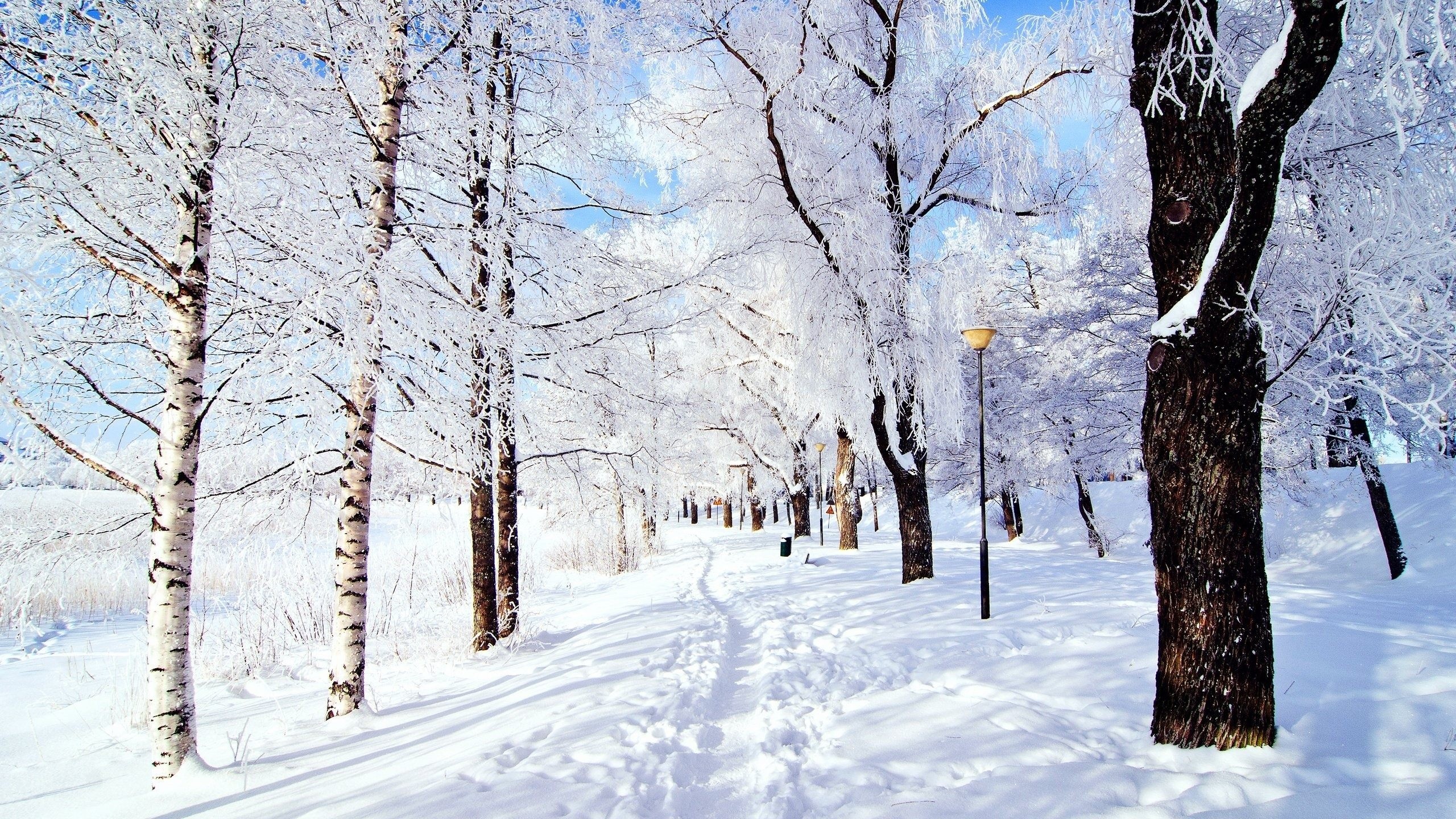 62 Snow Scenes Wallpapers on WallpaperPlay