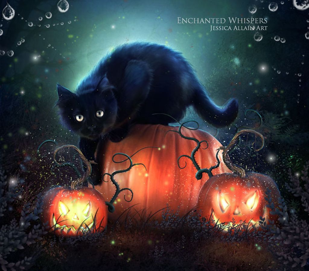 Download Cute Halloween Black Cat On Pumpkins Wallpaper  Wallpaperscom