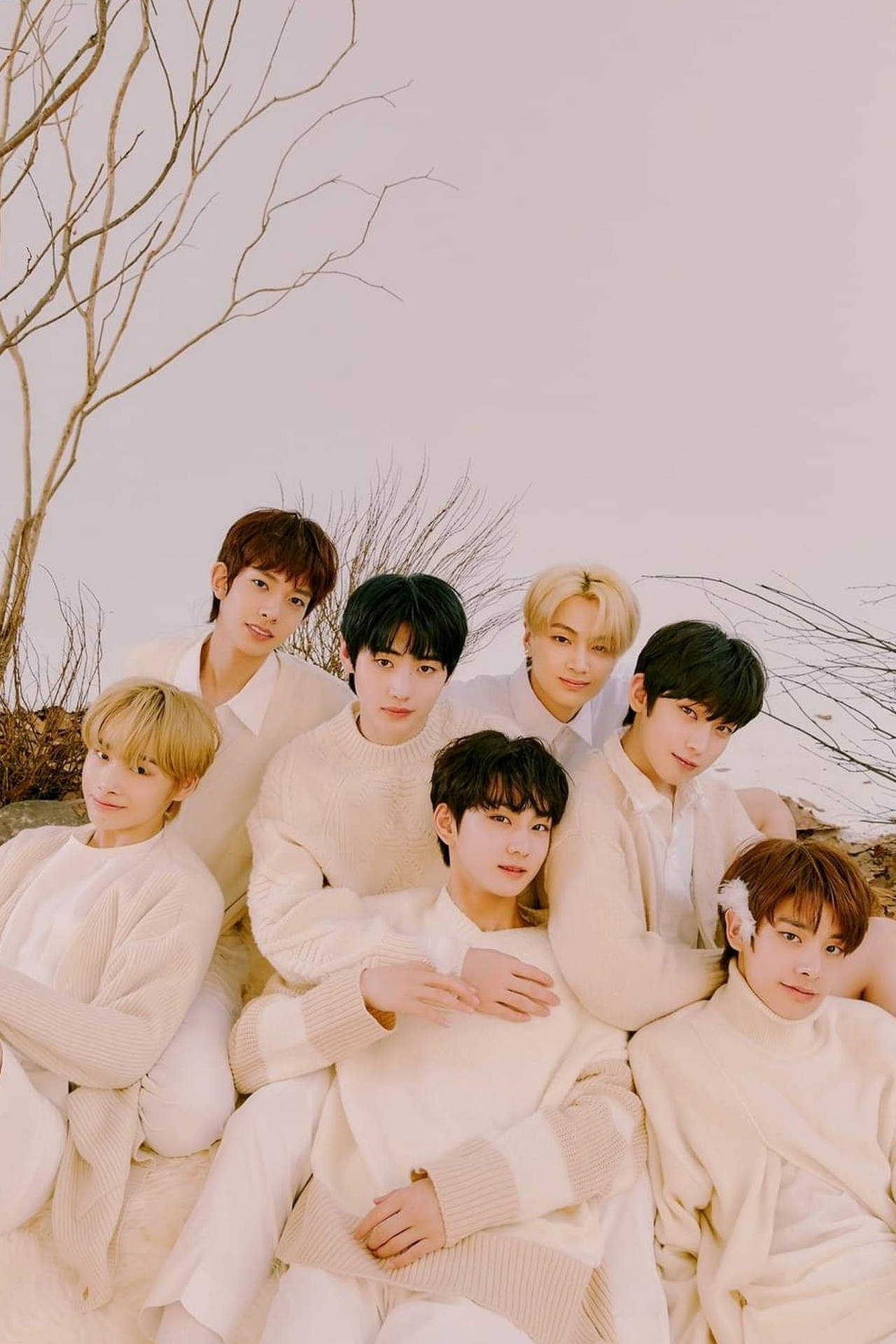 Enhypen All Members Sab4fyw1zaycshhj Wallpaper