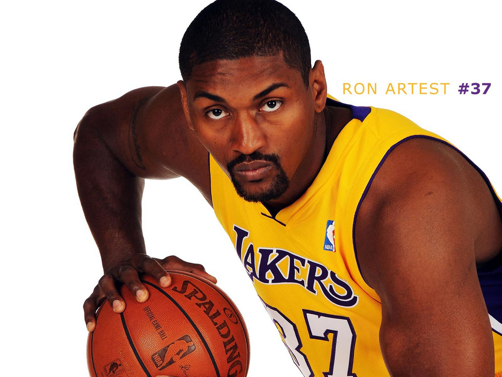 Ron Artest Basket Ball Player Image To Wallpaper