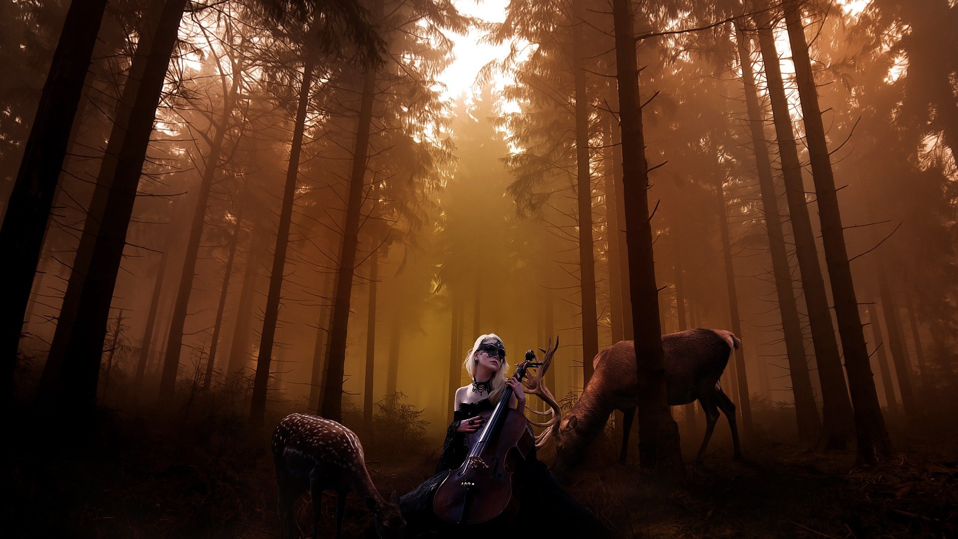 Cello Background Wallpaper High Definition Quality