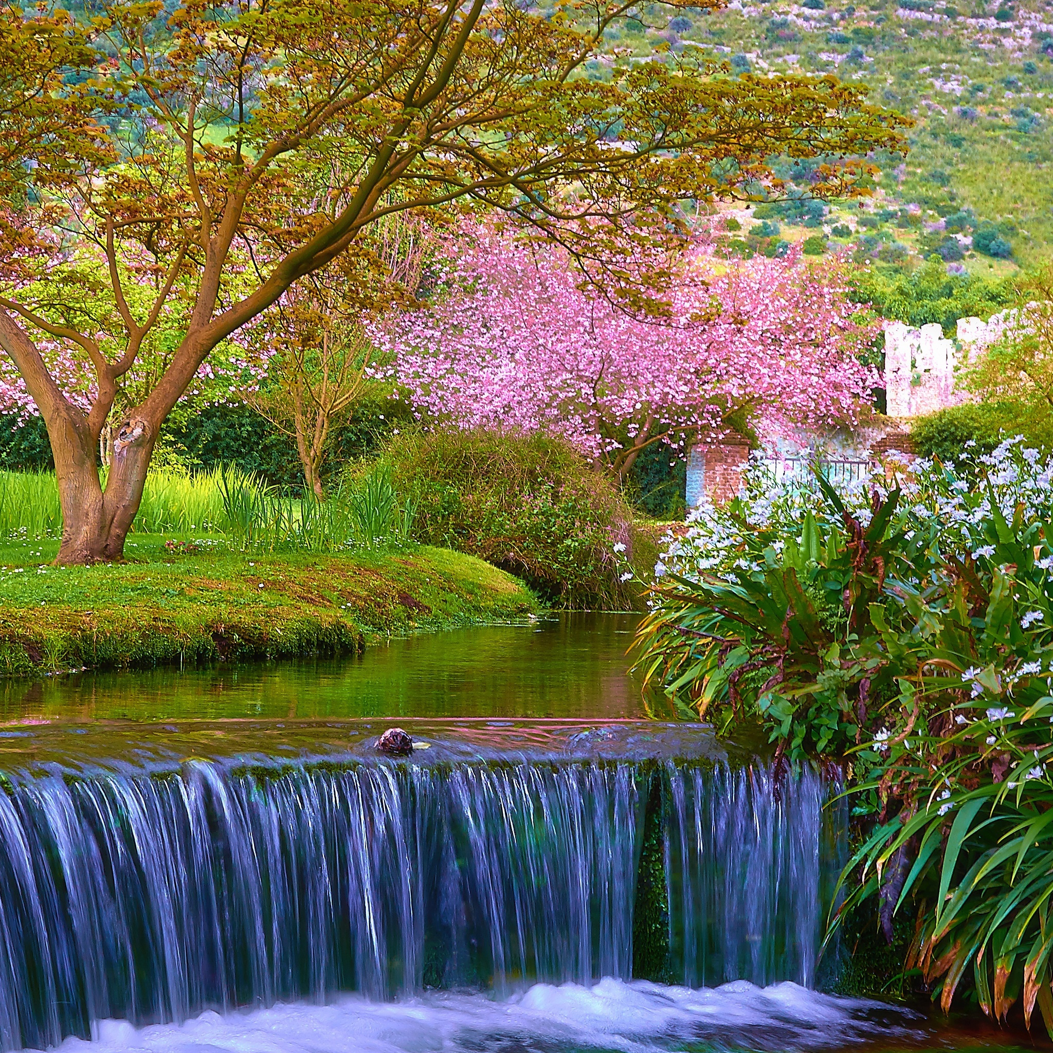 Spring Nature Scenes Wallpaper For Puter