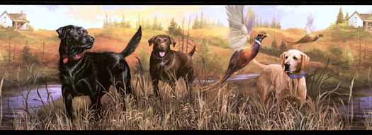 Showing Gallery For Hunting Labrador Wallpaper