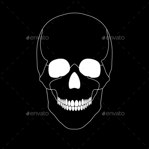 White Skull On A Black Background Stock Photo Photodune