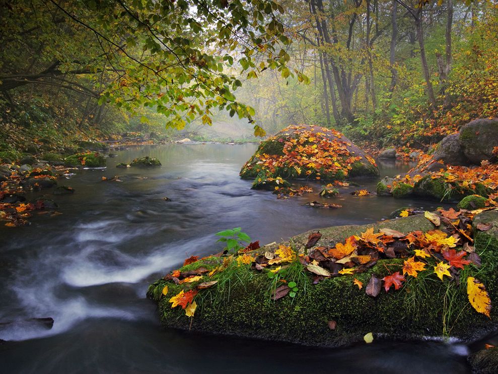 Autumn Landscape Photo Nature Wallpaper National Geographic