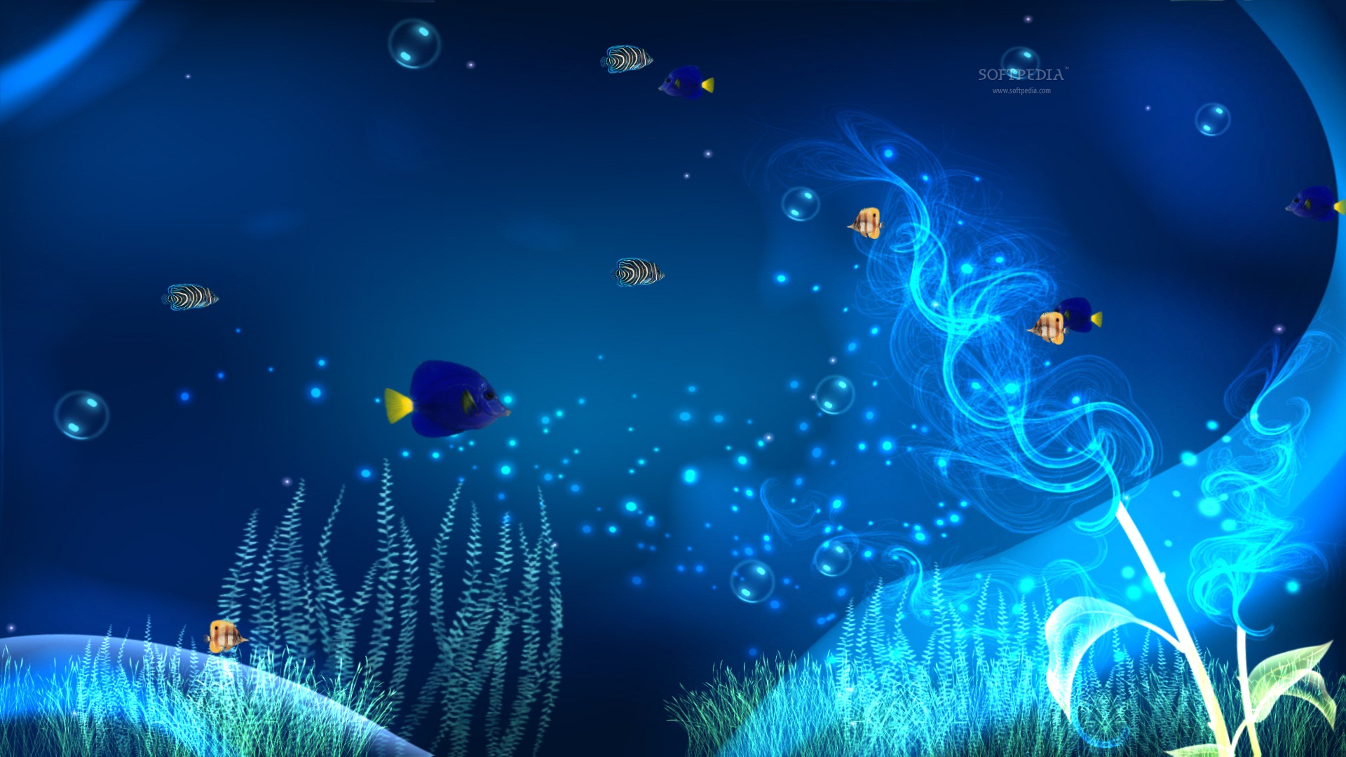Ocean Adventure Aquarium Screensaver Screenshots