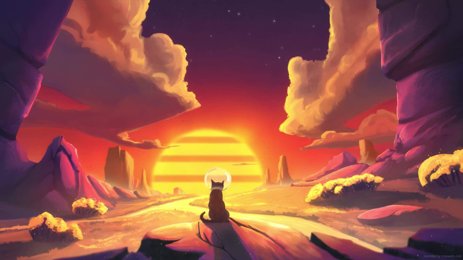 A black cat wearing a space helmet sits on a rock, gazing at a vibrant sunset over a desert landscape. This digital art piece evokes a sense of wonder and adventure