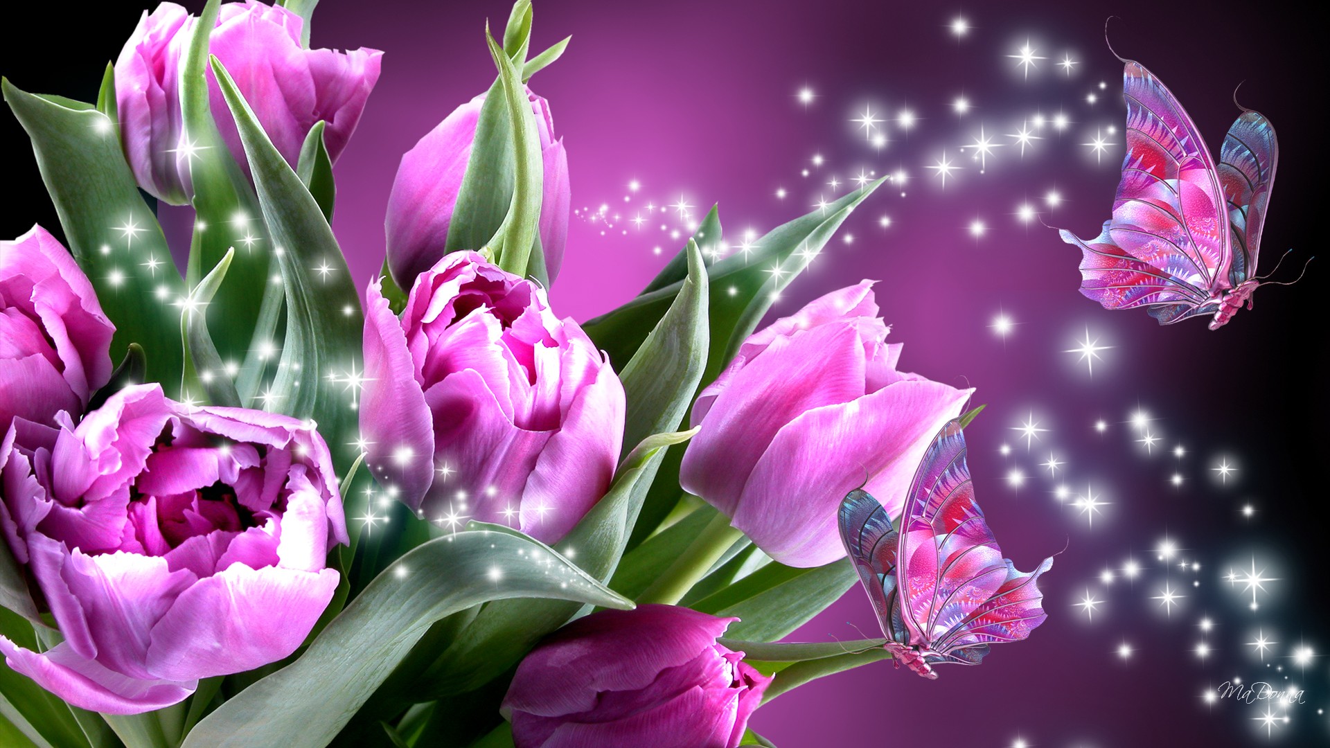 Pink And Purple Butterfly Wallpaper 2014 amazing p