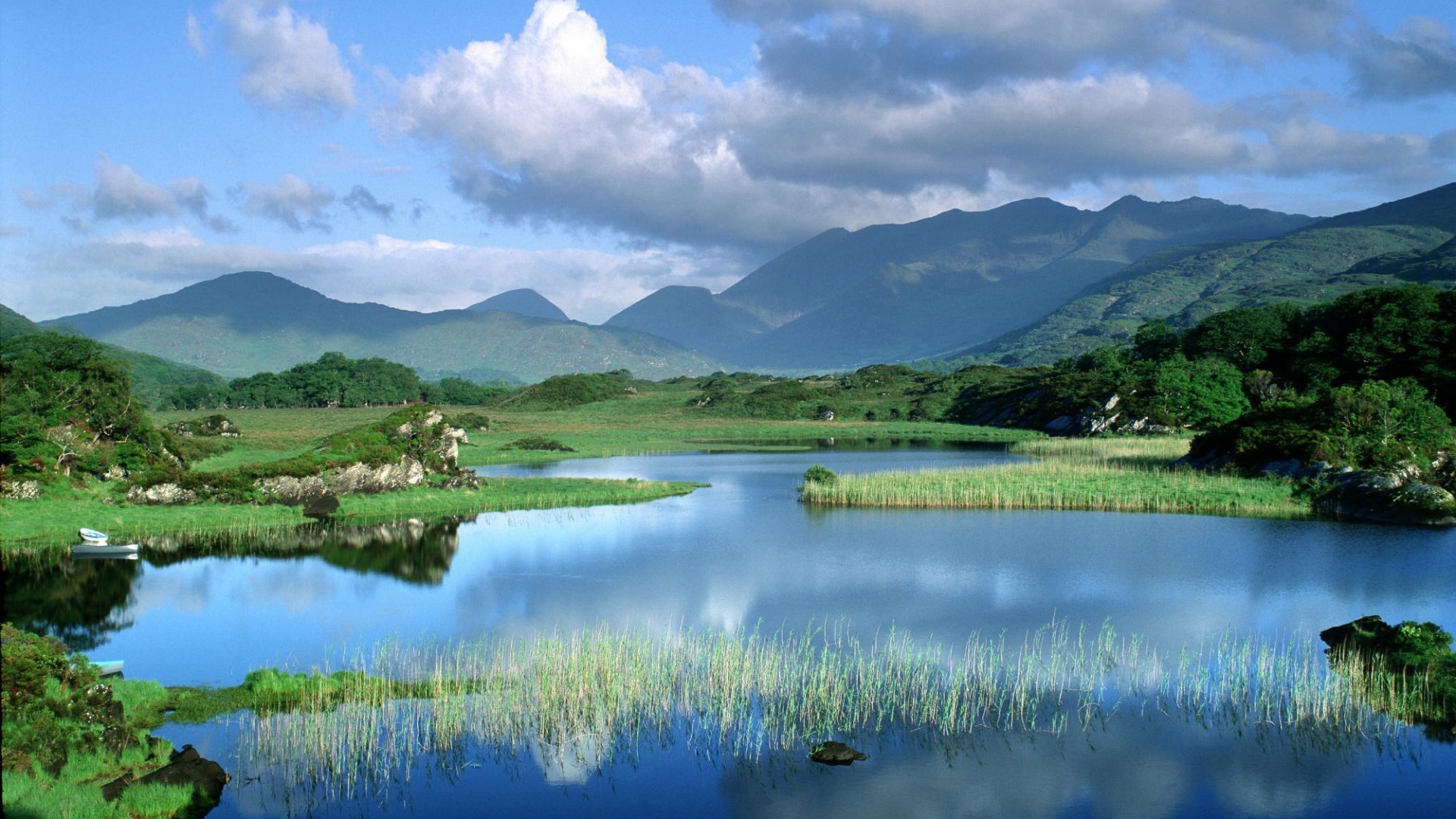 Celtic Irish Wallpaper