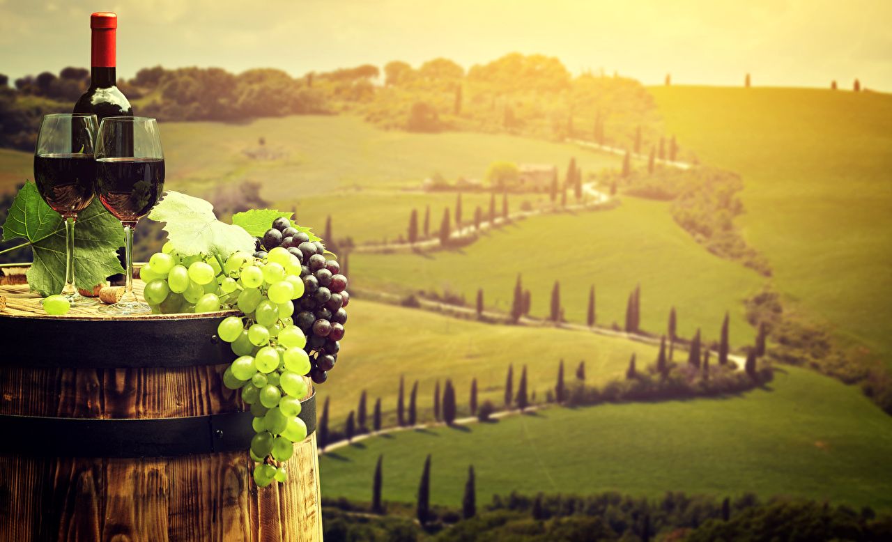 Tuscan Vineyard Wallpaper