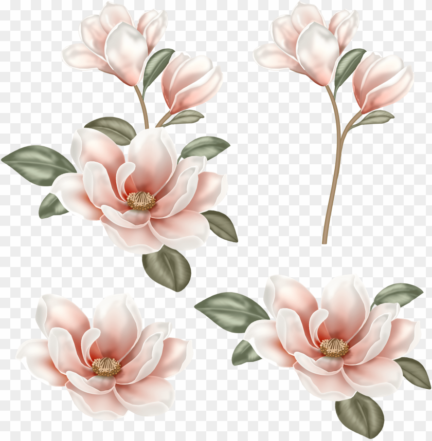 Image Use Stock Flower Clip Art Chinese Transprent
