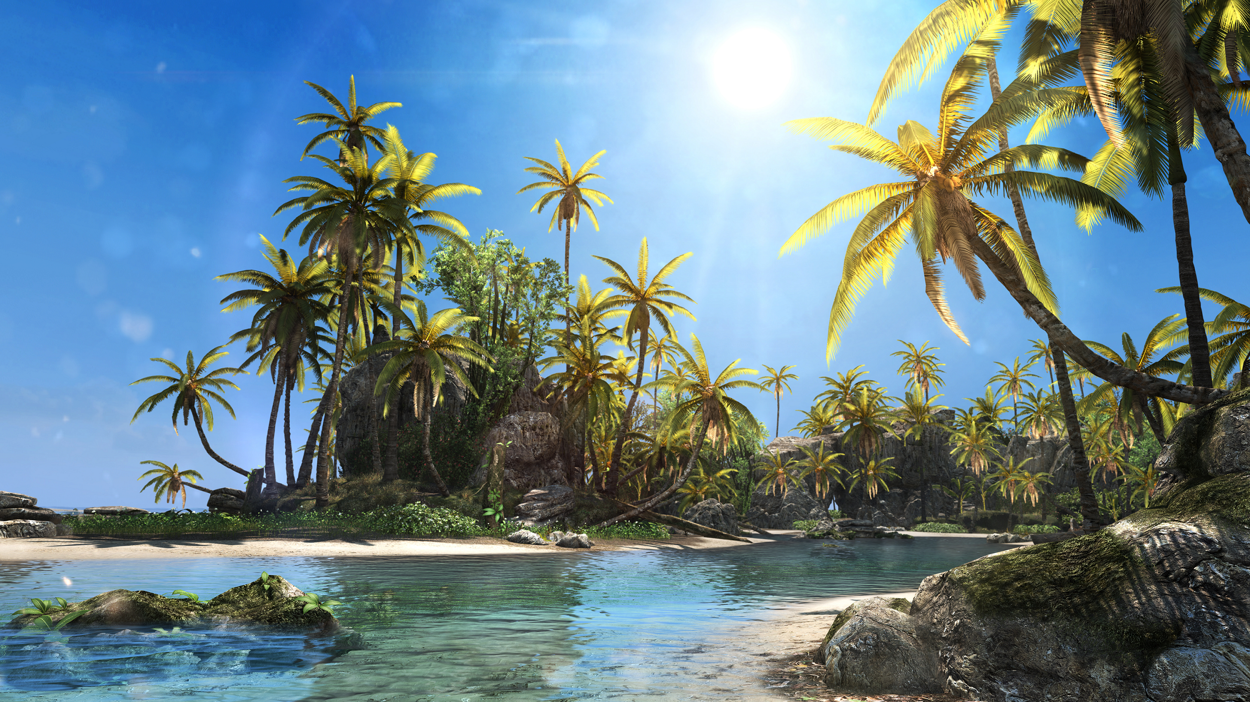 Assassins Creed Iv Black Flag Pc Screenshot Wallpaper