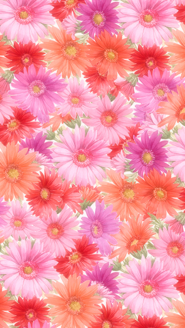 Beatiful Flower Wallpaper Background HD Garden Most