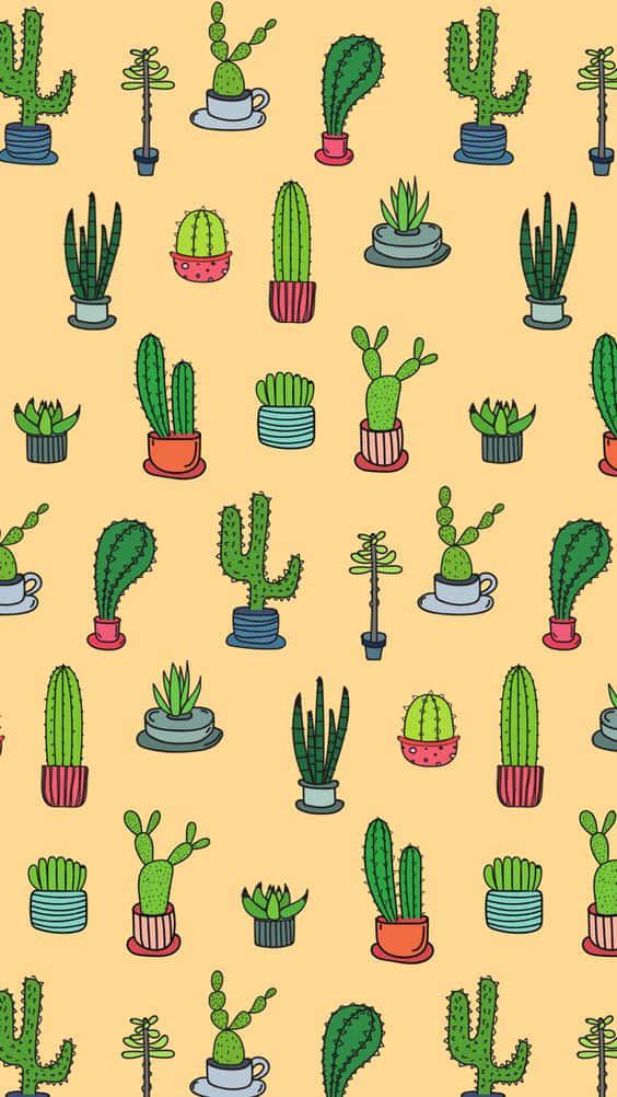 Cactus iPhone Wallpaper