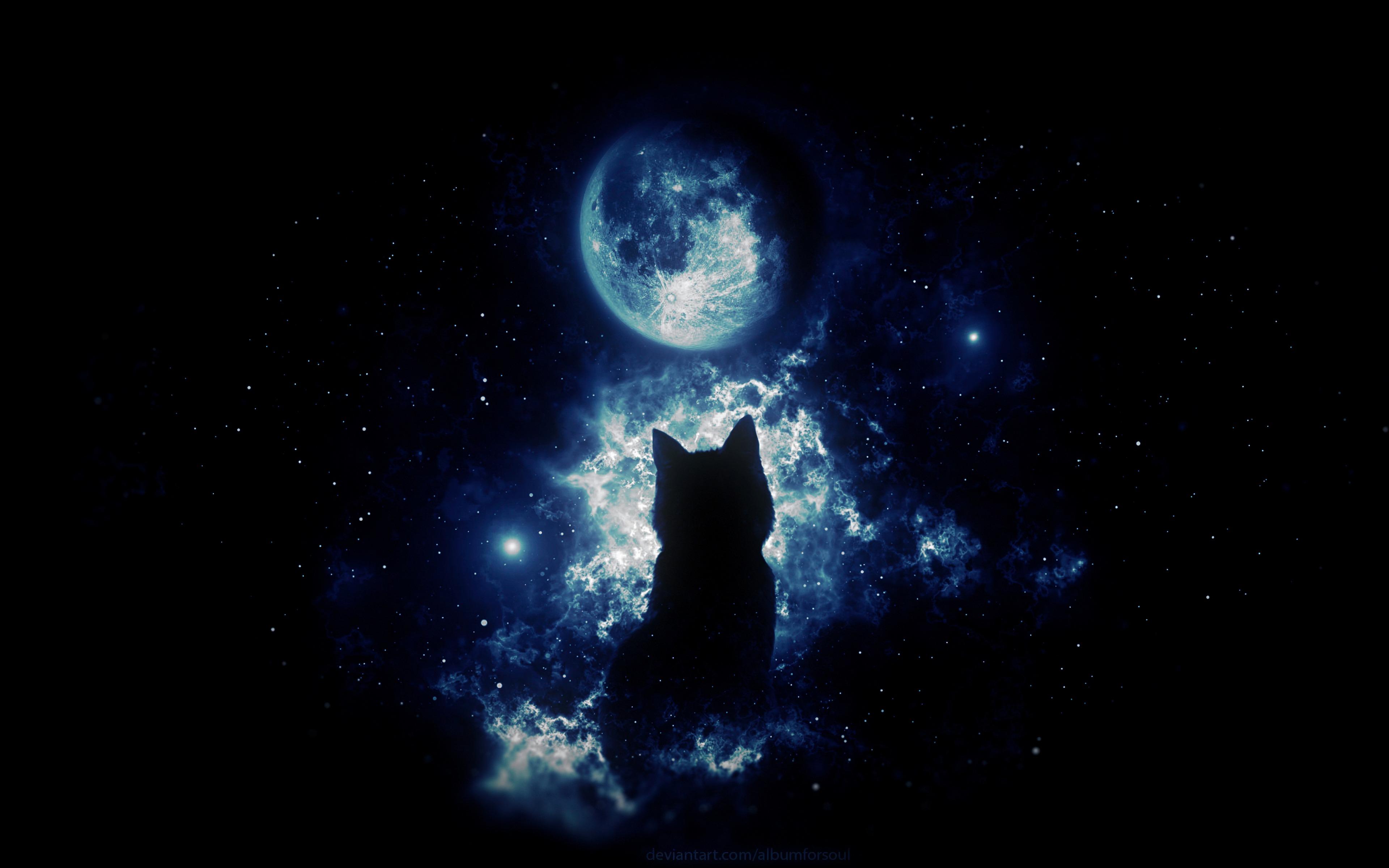 Black Cat Moon Wallpapers on WallpaperDog 3840x2400