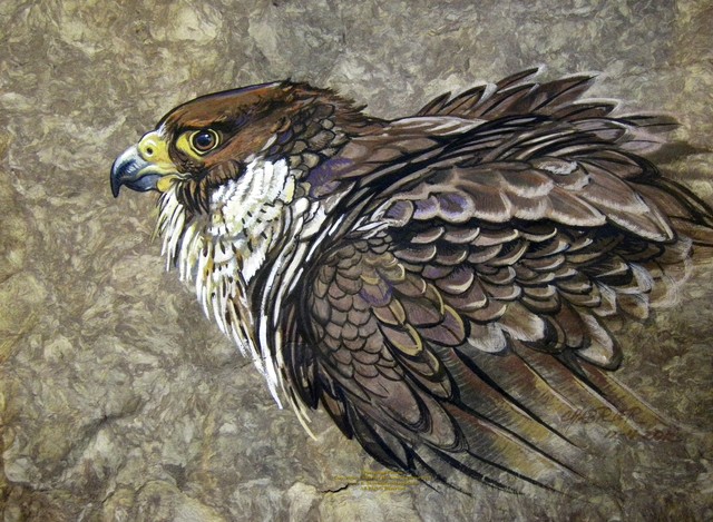Peregrine Falcon Wallpaper