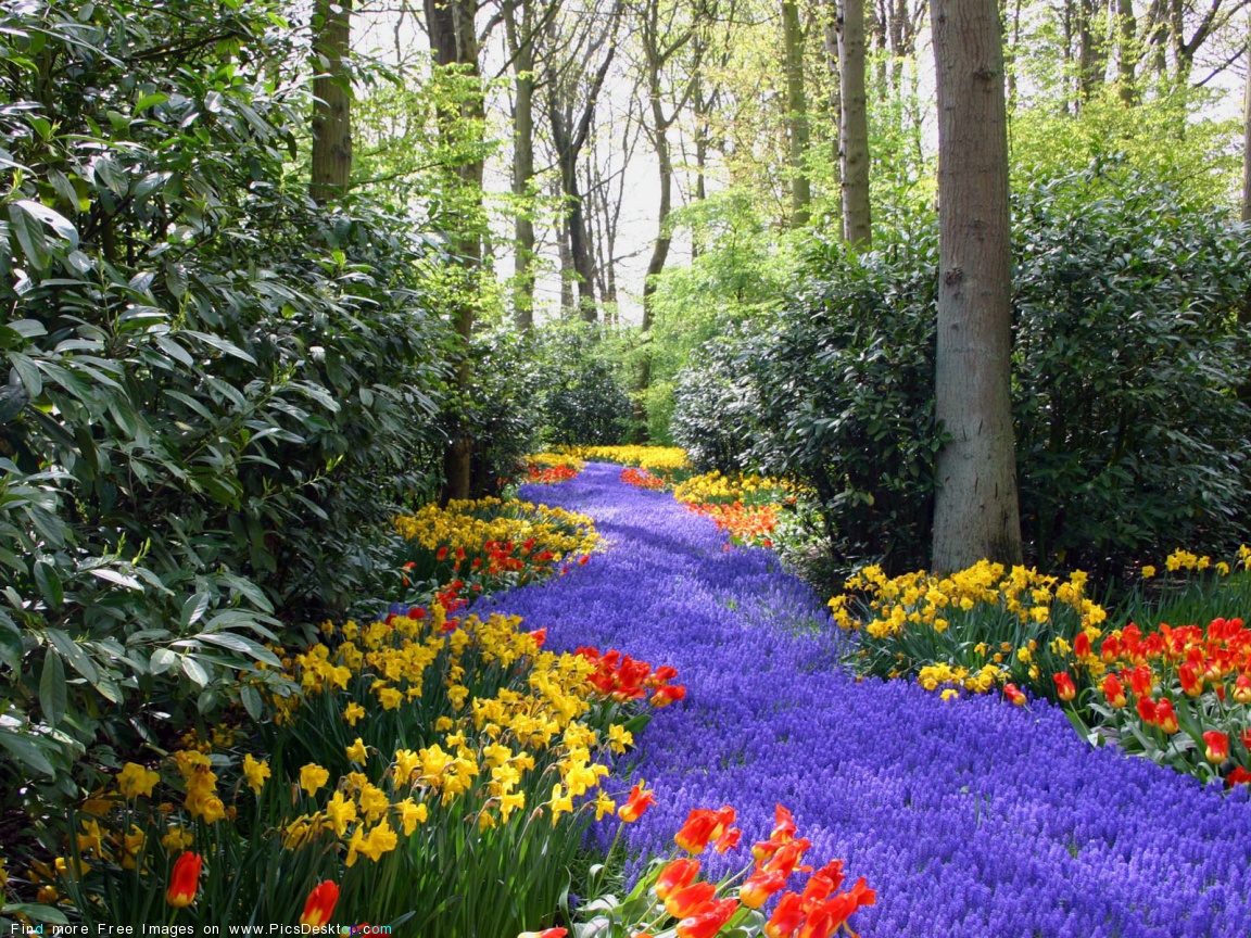Nature Springtime Free Desktop Wallpapers for PC amp Mac