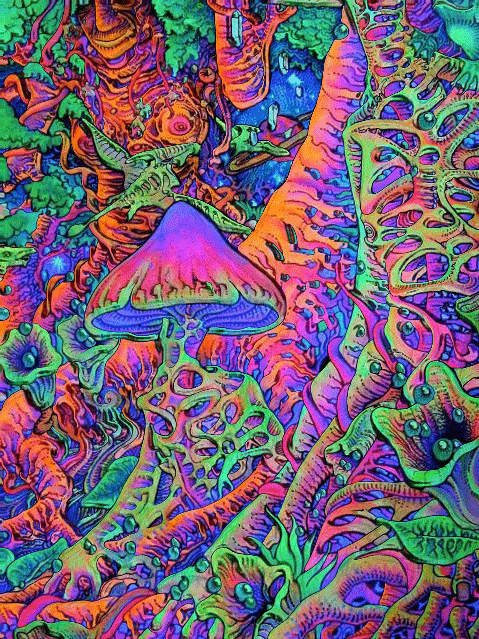 Trippy Mushrooms Shit Art Hippie Psychedelic