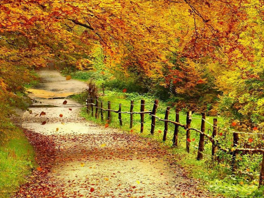 X Autumn Wallpaper