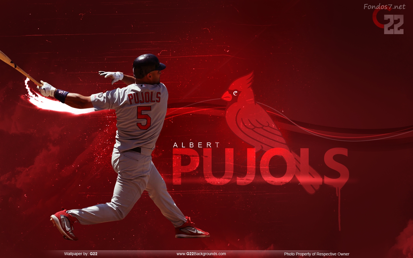 Albert Pujols returns home signs 1yr25M deal with St Louis  Suncoast  News and Weather Sarasota Manatee amp Charlotte