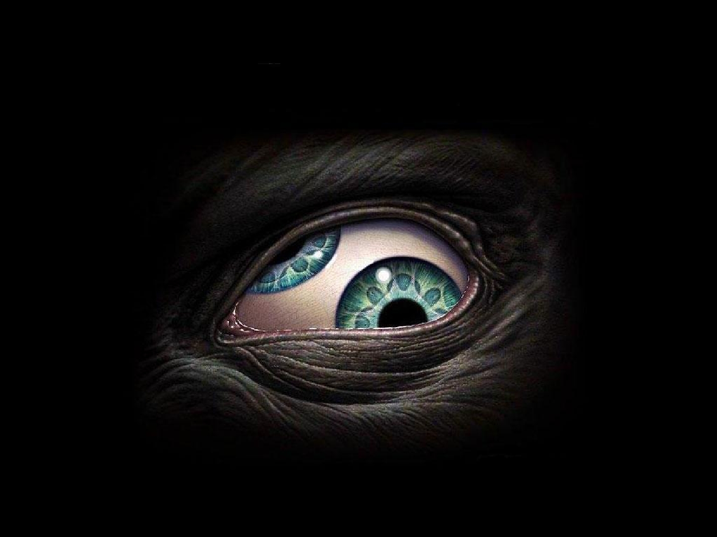 Eye Wallpaper And Image