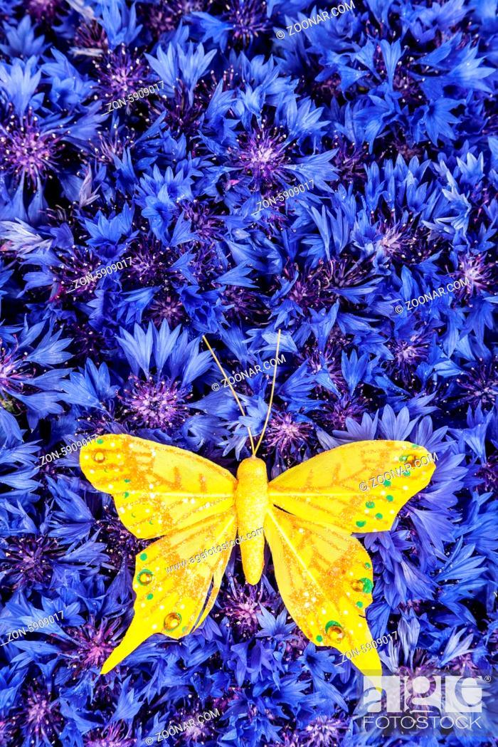 Spring Flowers Blue Cornflower With Yellow Butterfly Wallpaper